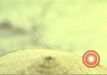 Image of 3rd Brigade 82nd Airborne Division Phu Bai Hue Vietnam, 1968, second 20 stock footage video 65675060123