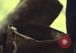 Image of 3rd Brigade 82nd Airborne Division Phu Bai Hue Vietnam, 1968, second 26 stock footage video 65675060123