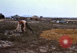 Immagine di 3° Brigata ottantaduesima Airborne Division soldati L'unità Phu Bai Hue Vietnam, 1968, secondo 5 filmato di repertorio 65675060124