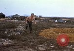 Immagine di 3° Brigata ottantaduesima Airborne Division soldati L'unità Phu Bai Hue Vietnam, 1968, secondo 6 filmato di repertorio 65675060124