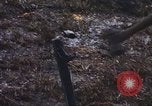 Immagine di 3° Brigata ottantaduesima Airborne Division soldati L'unità Phu Bai Hue Vietnam, 1968, secondo 23 filmato di repertorio 65675060124
