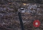 Immagine di 3° Brigata ottantaduesima Airborne Division soldati L'unità Phu Bai Hue Vietnam, 1968, secondo 25 filmato di repertorio 65675060124