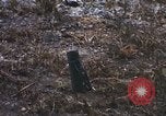 Immagine di 3° Brigata ottantaduesima Airborne Division soldati L'unità Phu Bai Hue Vietnam, 1968, secondo 32 filmato di repertorio 65675060124