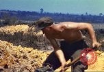 Immagine di 3° Brigata ottantaduesima Airborne Division Hue Vietnam, 1968, secondo 27 filmato di repertorio 65675060126