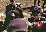 Image gradés allemand théâtre européen, 1945, de la seconde 13 séquences d'archives historiques vidéo 65675060139