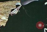 Image gradés allemand théâtre européen, 1945, de la seconde 14 séquences d'archives historiques vidéo 65675060139