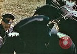 Image gradés allemand théâtre européen, 1945, de la seconde 16 séquences d'archives historiques vidéo 65675060139