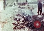 Image of American airmen after liberation at German prison camp Stalag 7A Moosburg Germany, 1945, second 40 stock footage video 65675060147