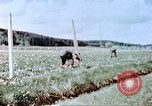 Image of German prisoners of war building a barbed wire enclosure Germany, 1945, second 17 stock footage video 65675060149