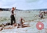 Image of German prisoners of war building a barbed wire enclosure Germany, 1945, second 40 stock footage video 65675060149