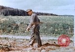 Image of German prisoners of war building a barbed wire enclosure Germany, 1945, second 45 stock footage video 65675060149