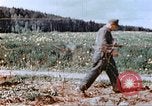 Image of German prisoners of war building a barbed wire enclosure Germany, 1945, second 48 stock footage video 65675060149