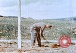 Image of German prisoners of war building a barbed wire enclosure Germany, 1945, second 52 stock footage video 65675060149