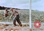 Image of German prisoners of war building a barbed wire enclosure Germany, 1945, second 57 stock footage video 65675060149