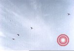 Immagine di P-47 Thunderbolt aereo da caccia Germania, 1945, secondo 44 filmato di repertorio 65675060161