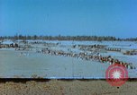 Image of Japanese-American citizens United States USA, 1942, second 60 stock footage video 65675060165