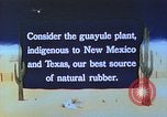 Immagine di Japanese-American agricoltore California United States USA, 1942, secondo 15 filmato di repertorio 65675060169