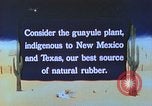 Immagine di Japanese-American agricoltore California United States USA, 1942, secondo 16 filmato di repertorio 65675060169