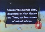 Immagine di Japanese-American agricoltore California United States USA, 1942, secondo 17 filmato di repertorio 65675060169