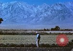 Immagine di Japanese-American agricoltore California United States USA, 1942, secondo 24 filmato di repertorio 65675060169