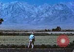 Immagine di Japanese-American agricoltore California United States USA, 1942, secondo 25 filmato di repertorio 65675060169