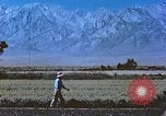 Immagine di Japanese-American agricoltore California United States USA, 1942, secondo 26 filmato di repertorio 65675060169