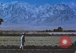 Immagine di Japanese-American agricoltore California United States USA, 1942, secondo 27 filmato di repertorio 65675060169