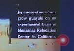 Immagine di Japanese-American agricoltore California United States USA, 1942, secondo 29 filmato di repertorio 65675060169