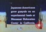 Immagine di Japanese-American agricoltore California United States USA, 1942, secondo 32 filmato di repertorio 65675060169