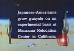 Immagine di Japanese-American agricoltore California United States USA, 1942, secondo 33 filmato di repertorio 65675060169