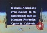 Immagine di Japanese-American agricoltore California United States USA, 1942, secondo 35 filmato di repertorio 65675060169