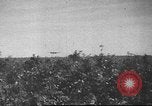 Image of B-17 Flying Fortress bomber United States USA, 1943, second 61 stock footage video 65675060181