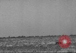 Image of B-17 Flying Fortress bomber United States USA, 1943, second 62 stock footage video 65675060181