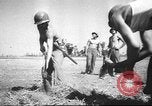 Image of B-25 Mitchell bombers New Guinea, 1943, second 58 stock footage video 65675060185