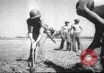 Image of B-25 Mitchell bombers New Guinea, 1943, second 60 stock footage video 65675060185