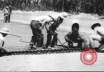 Image of B-25 Mitchell bombers New Guinea, 1943, second 61 stock footage video 65675060185
