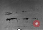 Standbild B-17 Flying Fortress Bomber Deutschland, 1943, aus Sekunde 3 historischem Filmmaterial Videoclip 65675060187