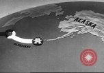 Standbild B-17 Flying Fortress Bomber Deutschland, 1943, aus Sekunde 20 historischem Filmmaterial Videoclip 65675060187