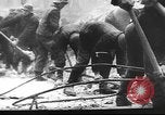 Immagine di Truppe tedesche Germania, 1943, secondo 8 filmato di repertorio 65675060188