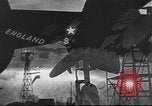 Immagine di P Mustang combattenti Africa, 1943, secondo 12 filmato di repertorio 65675060190