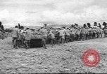Standbild Chinese Air Force Kadetten China, 1943, aus Sekunde 45 historischem Filmmaterial Videoclip 65675060193