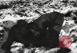 Image of United States troops European Theater, 1945, second 31 stock footage video 65675060197