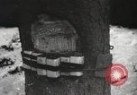 Image of United States troops European Theater, 1945, second 39 stock footage video 65675060197