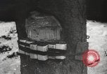 Image of United States troops European Theater, 1945, second 40 stock footage video 65675060197