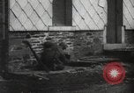 Image of United States troops Bastogne Belgium, 1945, second 58 stock footage video 65675060198