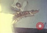 Standbild Royal Australian Navy HMAS Melbourne R-21 South China Sea, 1969, aus Sekunde 15 historischem Filmmaterial Videoclip 65675060210