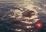 Standbild Royal Australian Navy HMAS Melbourne R-21 South China Sea, 1969, aus Sekunde 33 historischem Filmmaterial Videoclip 65675060210
