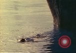 Standbild Royal Australian Navy HMAS Melbourne R-21 South China Sea, 1969, aus Sekunde 58 historischem Filmmaterial Videoclip 65675060210