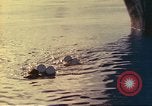 Standbild Royal Australian Navy HMAS Melbourne R-21 South China Sea, 1969, aus Sekunde 60 historischem Filmmaterial Videoclip 65675060210
