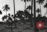Image maisons endommagées San Juan à Puerto Rico, 1931, de la seconde 16 séquences d'archives historiques vidéo 65675060219